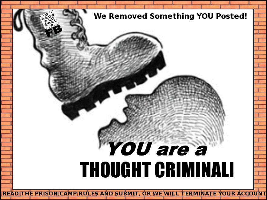 Facebook Thought Crimes